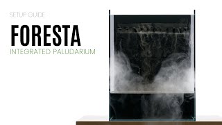 Ultum Nature Systems Foresta Integrated Paludarium System Setup Guide [upl. by Nylannej]