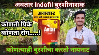 Avtar indofil fungicide Avatar  Indofil  Fungicides  Top Fungicide Avtar In marathi अवतार [upl. by Ahtelahs]