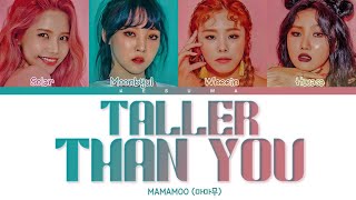 MAMAMOO 마마무  Taller Than You 1cm의 자존심 Color Coded Lyrics EngRomHan [upl. by Syla427]