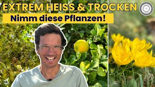 GEHÖLZE amp PFLANZEN für richtig HEISSE Standorte 🌿 🔥 [upl. by Gus]