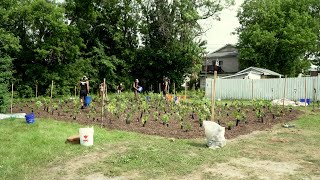 Reportage  Une microforêt à Lachute [upl. by Arihk]