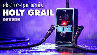 ElectroHarmonix Holy Grail Reverb Pedal EHX Demo by TOM BURDA [upl. by Yalcrab158]