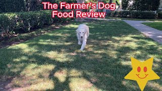 The Farmers Dog Food Review dogfood dogfood goldenretriever goldenpup petmodel dogmodel [upl. by Etnohs446]