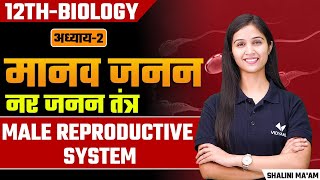 Male Reproductive System L1  Human Reproduction  Class 12thNEET Biology [upl. by Isador]