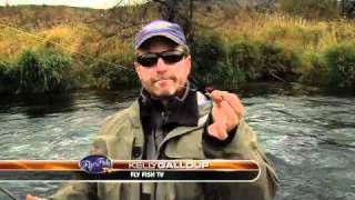 STEELHEAD FISHING DESCHUTES WITH KELLY GALLOUP [upl. by Maida]