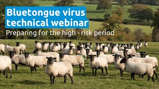 Bluetongue Virus  Preparing for the High Risk Period  AHDB Webinar [upl. by Casar]