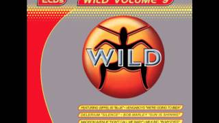 WILD FM VOLUME 9  WILD MILLENIUM MEGAMIX DJ SIMMO [upl. by Gazo]