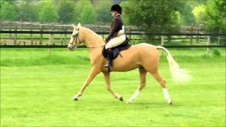 first ridden show BCA [upl. by Yendic]