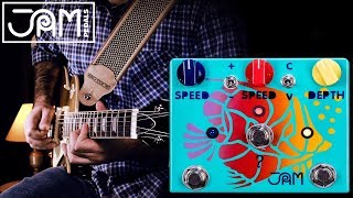 Jam Pedals RIPPLY FALL  Demo by Alberto Barrero [upl. by Araet163]