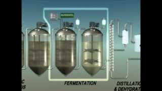 Biochemical Conversion of Biomass to Biofuels [upl. by Natalya406]