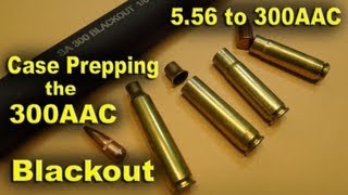 300 AAC Blackout and the Basics of the Cartridge [upl. by Giuliana]