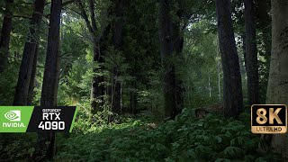 8K Kingdom Come Deliverance BETA with RTX 4090 RAYTRACING RTGI in 2022  nearly Reallife Forests [upl. by Anahtor]