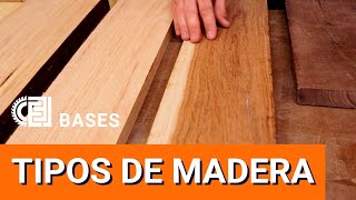 Tipos de madera Qué madera usar Qué diferencia hay entre pino y encino  BASES de la Carpinteria [upl. by Naida]