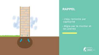 Les pathologies dun mur ancien liées à lhumidité [upl. by Enihpets180]