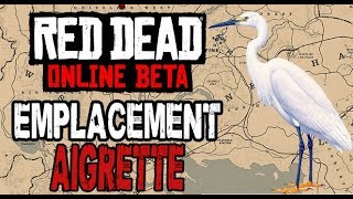 RED DEAD ONLINE  EMPLACEMENT AIGRETTE [upl. by Arbma]