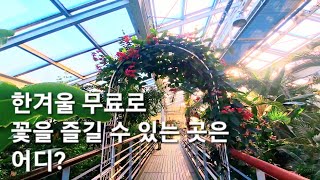 🌺 서울  서울숲 곤충식물원  겨울 실내 데이트  무료 꽃 구경  당일치기 국내여행  Day domestic trip [upl. by Krucik]