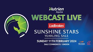 Nutrien Equine  Ladbrokes Sunshine Stars Yearling Sale 2024 [upl. by Auqeenwahs]