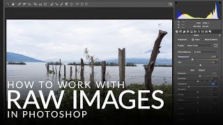 How to Work with RAW Images in Photoshop [upl. by Anide]