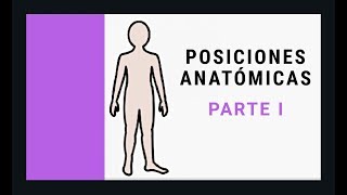 POSICIONES ANATÓMICAS del paciente IMÁGENES  OPOSICIÓN SANIDAD  TCAE  SANIDAD  OPE [upl. by Nelyk]