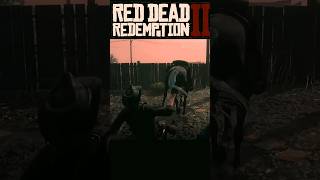 Red Dead Redemption2Random Funny Moments 😂😂rdr2gameplay arthurmorgan rdr2 rdr2funny rdr2onlin [upl. by Hallerson]