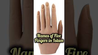 Names of Five Fingers name in Islam fivefingers shorts fbfnafis [upl. by Elleinaj]