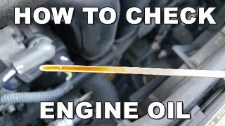 How To Check Engine Oil Properly [upl. by Annatsirhc]