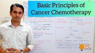 Anticancer Drugs Pharmacology Part 1 Basic Principles and Site of Action for Cancer Chemotherapy [upl. by Attenborough230]