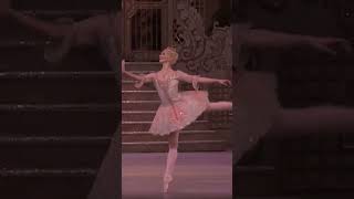 The Nutcracker  The Sugar Plum Fairy Dance  Rewinding [upl. by Ahron]