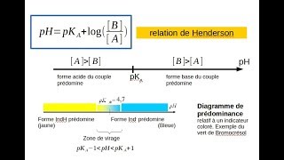 Acides faibles Bases faibles Diagrammes de prédominance Tampons2 [upl. by Yniatirb]