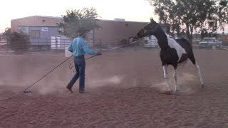 Troubleshooting the horse that turns in while lunging Mike Hughes Auburn California [upl. by Filbert]