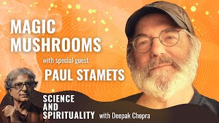 Magic Mushrooms with special guest Paul Stamets [upl. by Yehtomit]