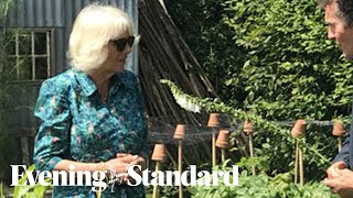 Camilla has uninvited guests invading her vegetable patch she tells BBC Gardeners World [upl. by Audwin]