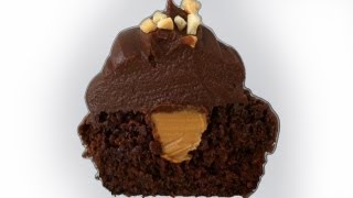 Chocolate Peanut Butter Cupcake Recipe HOW TO COOK THAT Ann Reardon [upl. by Malissia]