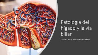 Patología del hígado y la vía biliar [upl. by Ivana]