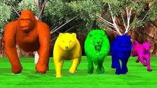 Gorilla finger family nursery rhymes Song For Kids  LionTigerbearcheethachildrenNASH TOON Tv [upl. by Beata]