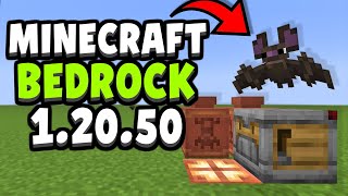 EVERYTHING NEW in Minecraft Bedrock Edition 12050 Update [upl. by Bruner]