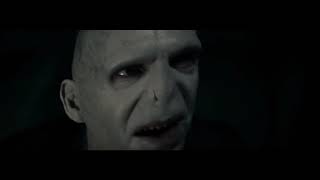 Harry Potter and the Deathly Hallows  Lord Voldemort Killed Gellert Grindelwald [upl. by Nalad]