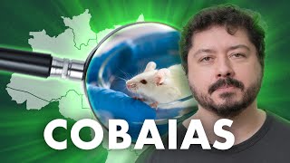 Como os brasileiros foram feitos de cobaias [upl. by Fougere]