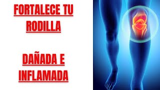 🦵FORTALECE tu RODILLA INFLAMADA❌ y con LÍQUIDO ✅HAZLO SENTADO y en 10 MINUTOS🕒 [upl. by Hardie]