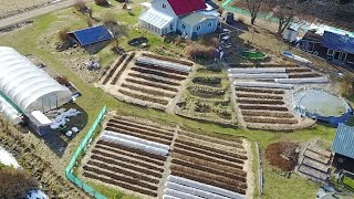 S4 ● E28 1000 happy chicks transplanting first nodig vegetables amp electrical upgrades [upl. by Esirec]