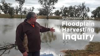 Tony Lees  Submission to Floodplain Harvesting Inquiry [upl. by Refiffej249]