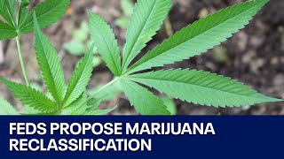 Marijuana Feds propose reclassification [upl. by Kaliope]