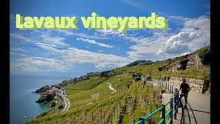 Day visit to Lavaux Vineyards  UNESCO world heritage  Switzerland 🇨🇭 [upl. by Schreibman211]