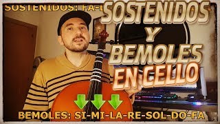 🎻 Cómo Hacer Sostenidos y Bemoles en Violonchelo [upl. by Snah611]