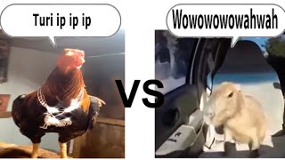 turi ip ip ip vs wowowowowahwah Epic Rap Battle [upl. by Romito]