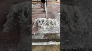 Foam scraping 371satisfying asmr carpetcleganin Newaladdin shorts [upl. by Gelya]