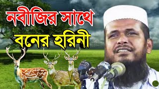 নবীজির কাছে হরিনীর ফরিয়াদ  মাওলানা তোফাজ্জল হোসেন ভৈরবি  Mawlana Tofazzal Hossain Waz  new waz [upl. by Stedman]