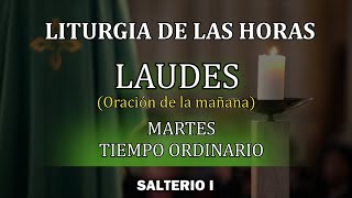 Oración de la mañana LAUDES Martes 27 de Agosto 2024 Producción Crisol [upl. by Suirada]