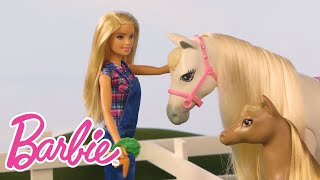 Diversão com Barbie na Fazenda  Barbie Português [upl. by Schuster186]