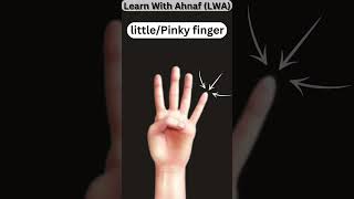 Do you know the names of all the fingers in English  Name of five fingers  finger shorts [upl. by Lohman]